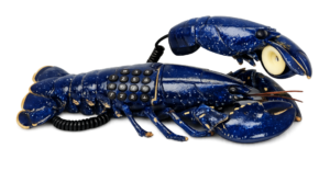 restaurante porto de rinlo página web (8)